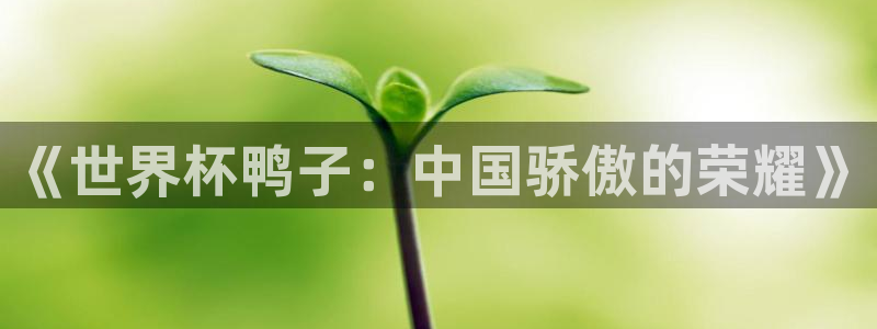 世界杯预选赛亚洲:《世界杯鸭子:中国骄傲的荣耀》