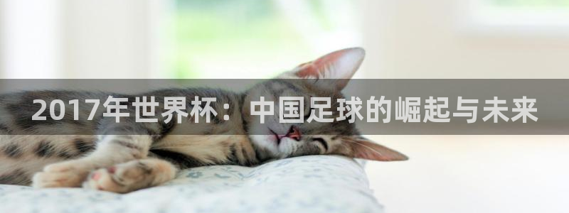 国际足联世界杯:2017年世界杯:中国足球的崛起与未来