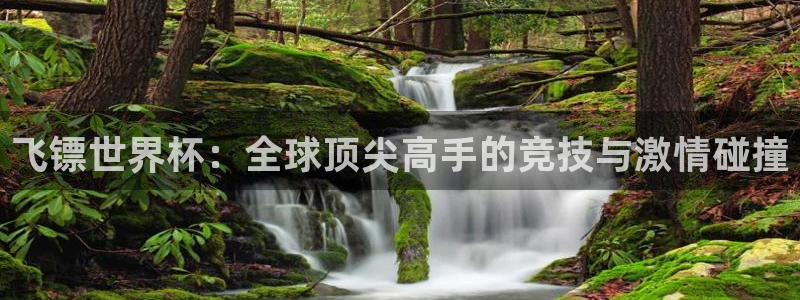 世界杯决赛直播:飞镖世界杯:全球顶尖高手的竞技与激情碰撞