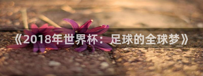 世界杯赛程2026:《2018年世界杯:足球的全球梦》