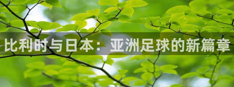 2026年世界杯对阵图:比利时与日本:亚洲足球的新篇章