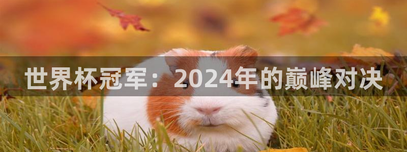 足球世界杯赛程:世界杯冠军:2024年的巅峰对决