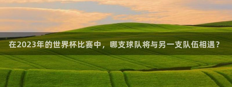 世界杯今日赛程直播:在2023年的世界杯比赛中,哪支球队将与另一支队伍相遇?