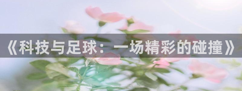 中国 世界杯:《科技与足球:一场精彩的碰撞》